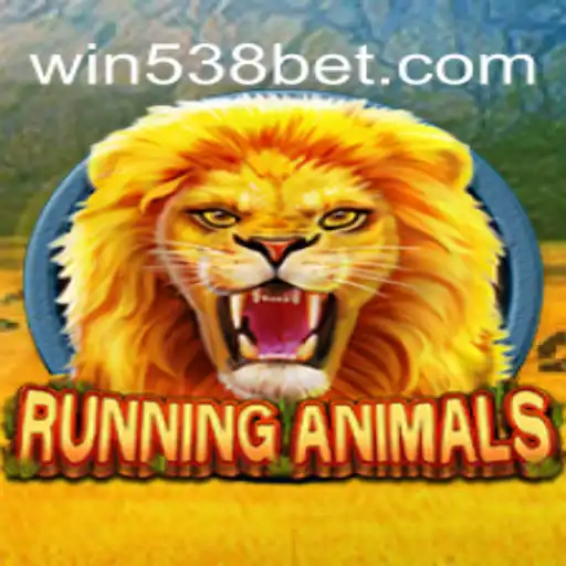 538bet.COM Casino App